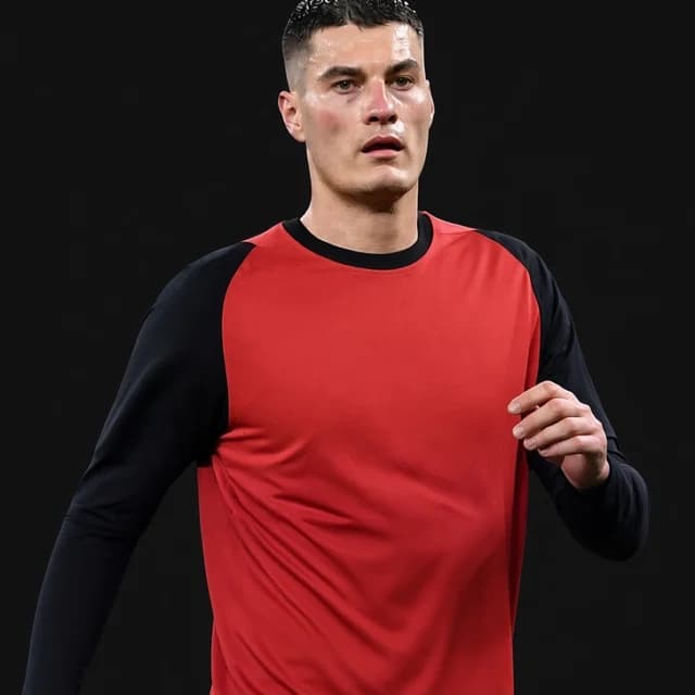 Patrik Schick için yapay zekâyla oluşturulmuş portre